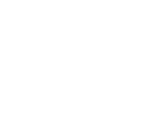 DDE – RAI RAI siden 1992